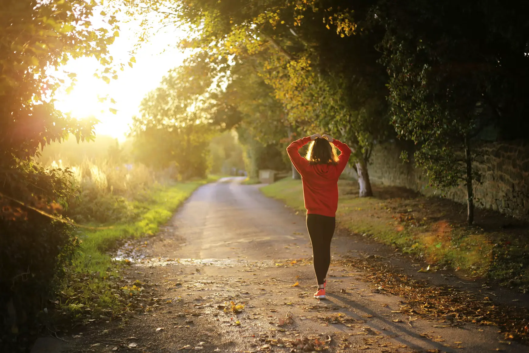 A person walking down a sunlit, tree-lined path in golden hour